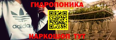 твердый Севастополь
